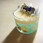 ワークショップ salon 5ive