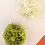 ワークショップ charles garden